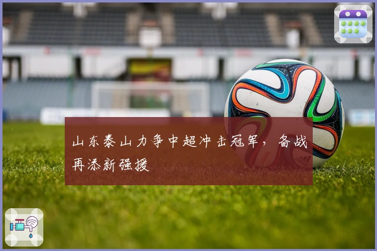 山东泰山力争中超冲击冠军，备战再添新强援