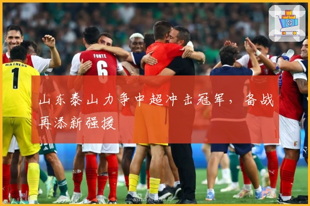 山东泰山力争中超冲击冠军，备战再添新强援