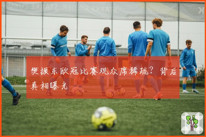 樊振东欧冠比赛观众席稀疏？背后真相曝光